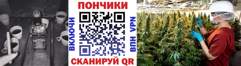 Купить закладку Грайворон гидра рабочий сайт Конопля Cocaine Псилоцибиновые грибы Меф СОЛЬ ГАШ