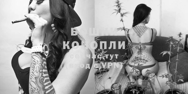 индика Балабаново