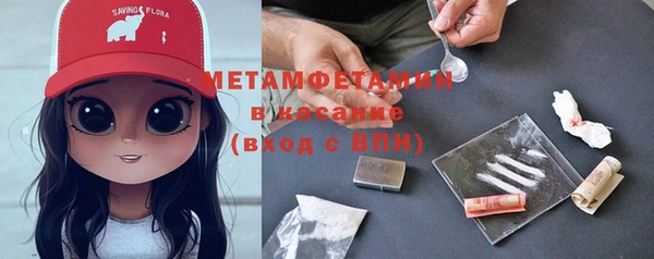 индика Балабаново