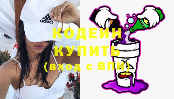 индика Балабаново