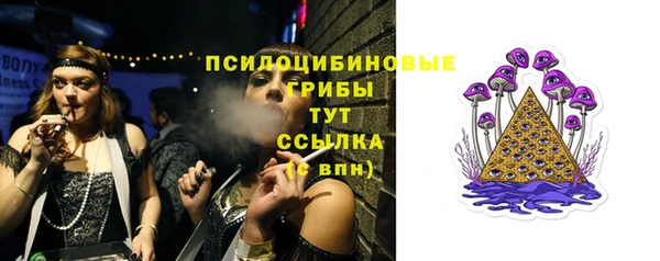 индика Балабаново