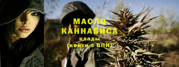 индика Балабаново