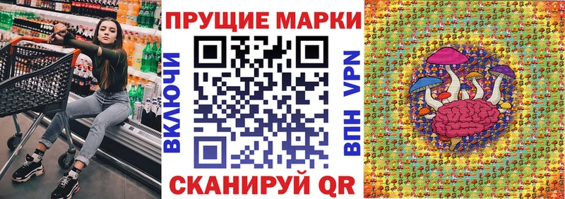 где найти   Грайворон  Наркотические марки 1,8мг 