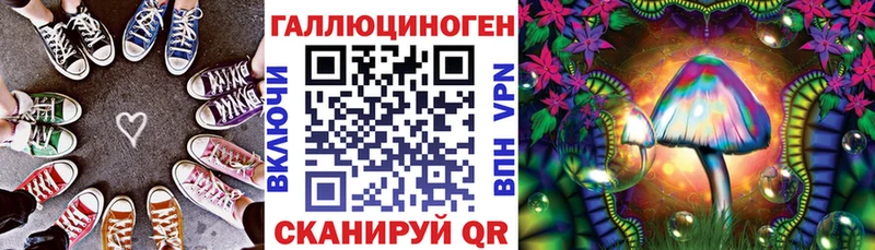 что такое   Грайворон  Псилоцибиновые грибы мицелий 